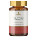 Cordyceps Militaris Mushroom Capsules