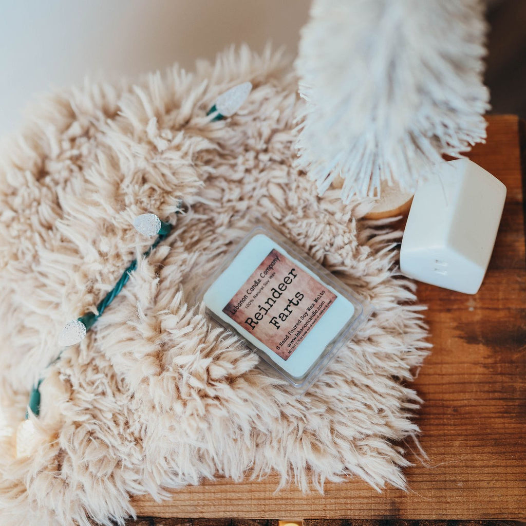 Reindeer Farts Wax Melt