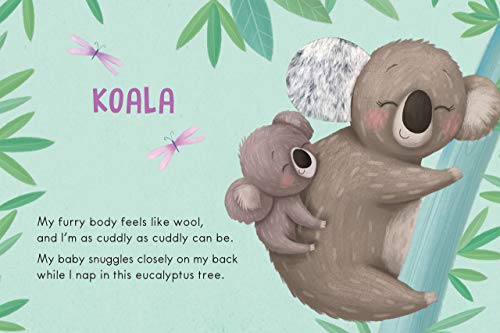 Wild Animals: A Touch and Feel Book - Children's Board Book