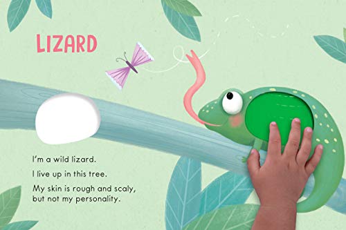 Wild Animals: A Touch and Feel Book - Children's Board Book
