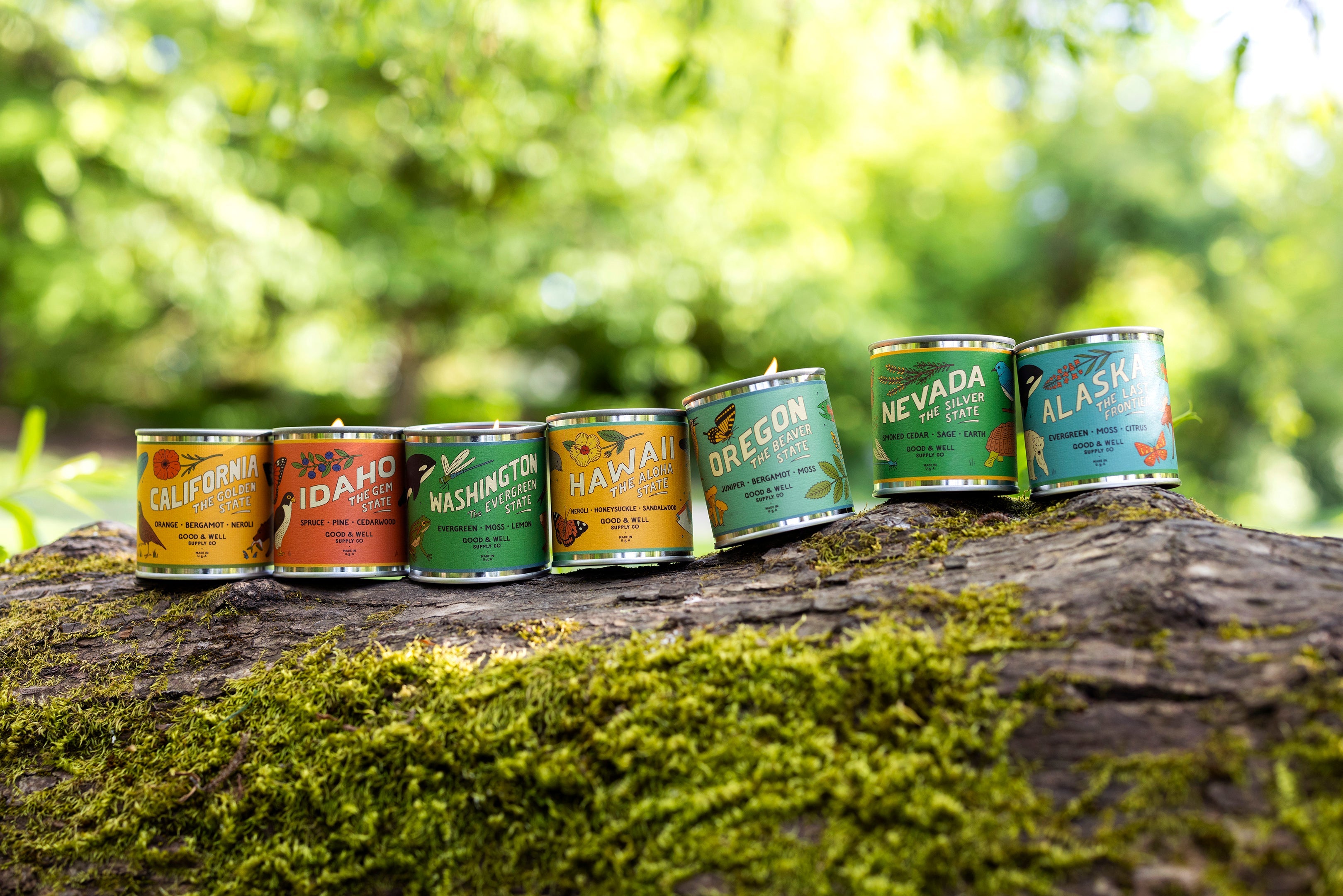 Kentucky State Candle