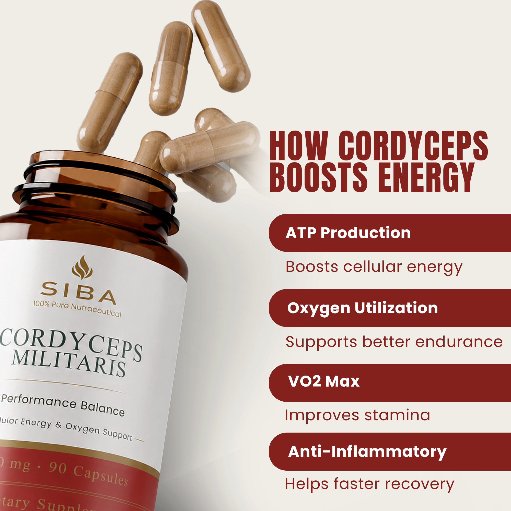 Cordyceps Militaris Mushroom Capsules
