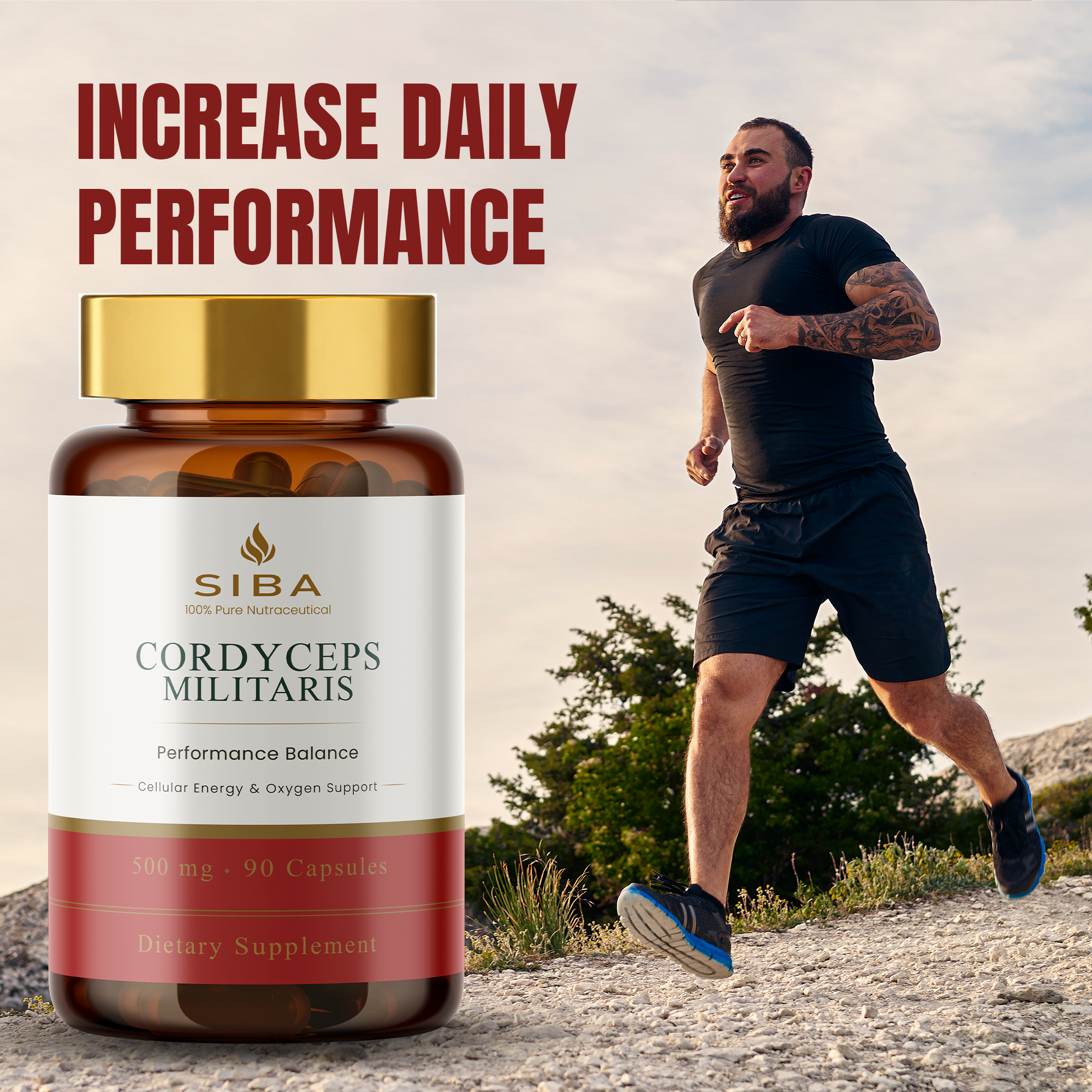 Cordyceps Militaris Mushroom Capsules