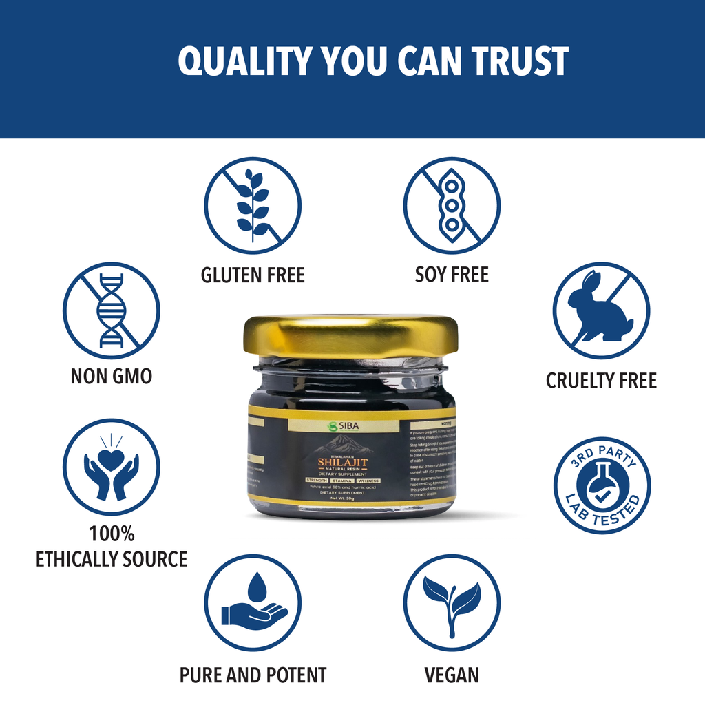 Shilajit Resin