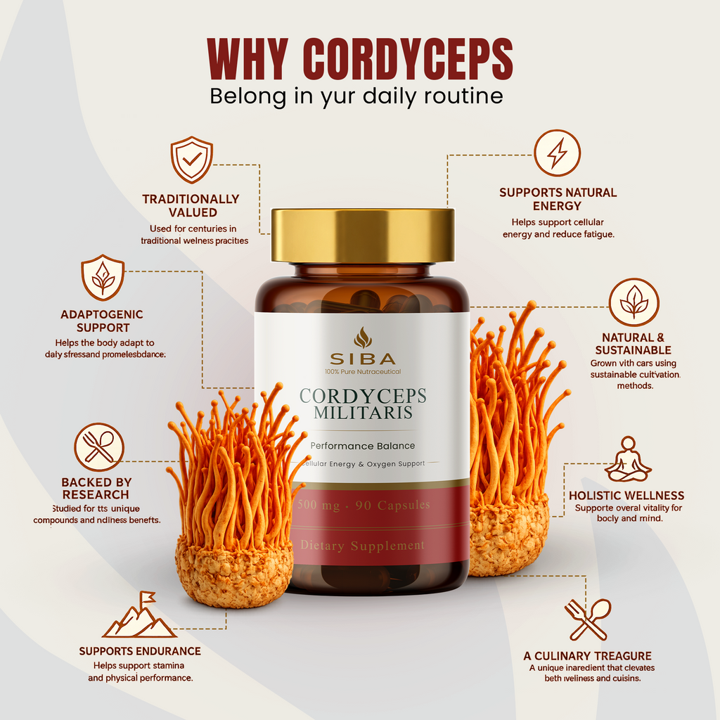 Cordyceps Militaris Mushroom Capsules