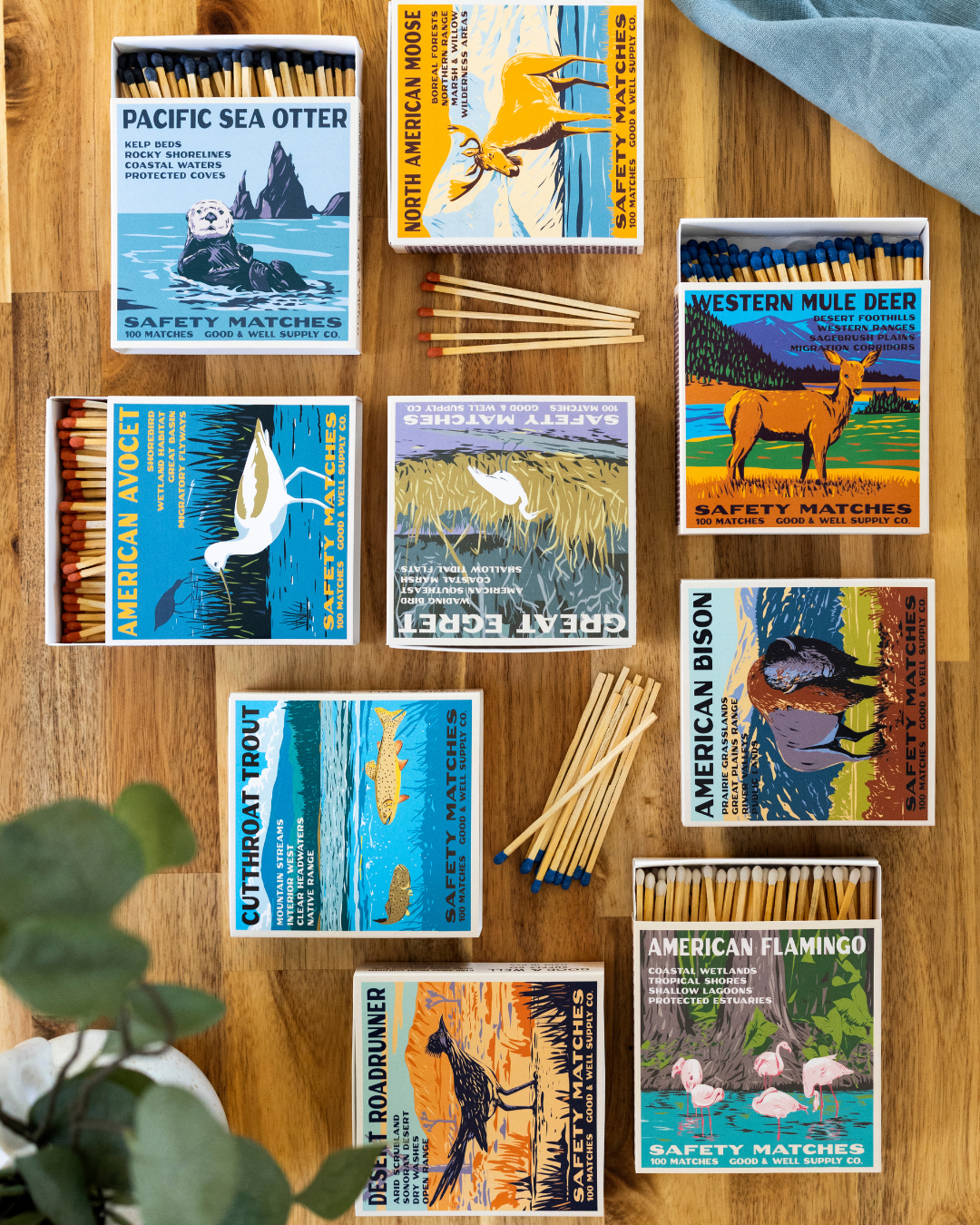 Pacific Sea Otter Cabin Matches